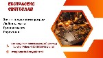 Якщо ви відчуваєте,  що життя зайшло в глухий кут,  а обставини не дозволяють рухатися вперед,  можливо,  настав час звернутися до фахівця,  який допоможе вам змінити реальність.  Екстрасенс Святослав ...