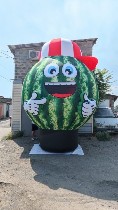 Надувные огромные фрукты — эффективный способ повысить видимость и узнаваемость торговой точки.  Они привлекают внимание издалека и помогают привлечь покупателей.  
Компания Аэроплюс изготавливает та ...