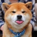 Встречусь у вас для кекса с вашей собакой,  мне 27.  Реал,  не стесняйтесь)) ...