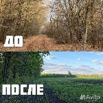 Ремонт, строительство объявление но. 3705381: Расчистка территорий от деревьев и пней от 1 Га