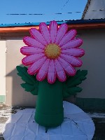 Разное объявление но. 3860776: Надувная фигура Цветы