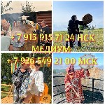 Бухгалтерский учет и аудит объявление но. 3326840: Приворот снятие порчи и сглаза защита