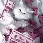 Вакансии - полный день объявление но. 3424391: Требуются девушки на поток.  Работа кипит!