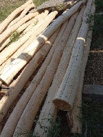 Акация.  Карагач.  Производитель предлагает производство и поставку пиломатериалов из твердых пород кавказкого региона:  
-доска необрезная;  
-брус массив;  
-кругляк;  

Акация окоренное бревно ...