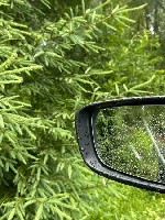 Нужна худенькая приятная девушка желательно молодая которая потрогает член руками необязательно уметь массаж главное трогать гладить ласкать руками .  Естественно не бесплатно кончу быстро 5 минут мак ...