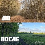 Ремонт, строительство объявление но. 3924285: Расчистка территорий от деревьев и пней от 1 Га