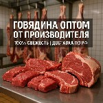 Свежая премиальная говядина каждый день!

Полная обвалка;  

Частичная обвалка;  

Разделка по желанию;  

Субпродукты.  

Наша продукция экологически-чистая,  обладающая превосходными вкусо ...