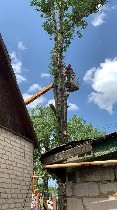 Вашему вниманию представляется профессиональный сервис по спилу и обрезке деревьев в Луганске! Мы гарантируем надежное сотрудничество по официальному договору с организацией,  что обеспечивает прозрач ...
