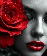 Дорогие девушки ,  от 18 до 35 лет,  приглашаем вас на
высокооплачиваемую работу.  Предлагаем работу на апартаментах,  в центральных районах города.  В апартаментах находитесь одна.  Предоставляется  ...