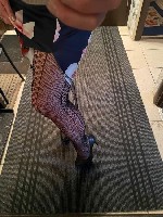 Интим-девушки, индивидуалки объявление но. 3471152: Пошалим?!! Вирт и горячие фото видео!!