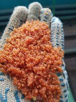 Разное объявление но. 3456284: Выгодно купим катионит,  анионит и активированный уголь по всей России