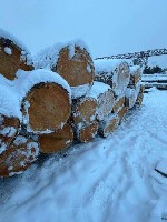 Строительные материалы объявление но. 3559648: Кедр,  лиственница кругляк,  брус,  лафет,  доска.