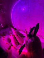 Эротический массаж объявление но. 3966105: 🍓🍓💦Умелая массажистка с академки🍓🍓💦