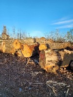 Производитель предлагает пиломатериалы,  кругляк,  лафет,  брус из твердых пород Краснодарского края:  дуб,  бук,  акация Робиния.  акация Глядичия,  ясень,  карагач.  
Доска 25/32/52х160-500х2000-40 ...