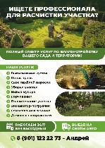 Выполним РАСЧИСТКУ УЧАСТКА:  сезонную,  подготовительную,  перед застройкой,  продажей от любого вида захламлений.  СПИЛ деревьев,  корчевание.  

Мы - крепкая и сплоченная команда готовых выполнить ...