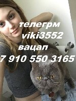 Интим-девушки, индивидуалки объявление но. 3761038: научу всем позам