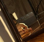 Эротический массаж объявление но. 3829782: Твоя сладенькая массажистка😈😘Делаю массажик с теплым маслом грудью и попой😈😘