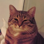 Интим-девушки, индивидуалки объявление но. 3975634: Всем привет пишите звоните в WhatsApp Telegram всегда рада вашим замкам