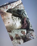 Встречусь за ваше МП (5000час + такси в обе стороны),  так же я с МЕСТОМ.  Территориально метро 🚇 Девяткино.  О себе:  23.167.55/17 см Связаться со мной можно в ТГ:  @Fomin_2912,  а так же в ватсап:   ...