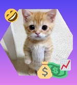 онлайн-платформа,  ориентированная на обмен мемами и короткими юмористическими изображениями набирает пользователей для размещения мемов и заработка на них.  
Сайт позволяет пользователям просматрива ...