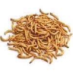 Кормовые насекомые стрижей и других насекомоядных птиц,  ласточек,  соек,  синиц,  дятлов,  также для ёжиков,  ящериц и др.  животных.  

Живые и замороженные кормовые насекомые.  

Мраморные тара ...