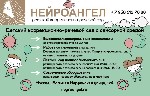 Частный специализированный коррекционно-речевой детский сад "Нейроангел" - это высокопрофессиональная команда специалистов,  индивидуальные коррекционные программы и комплексный подход,  особая сенсор ...
