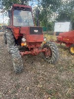 Трактор ЛТЗ-55 на полном ходу.  
Есть телега ПТС-2 за отдельную плату,  косилка,  пресс WELGER AP 41,  грабли,  плуг.  
Обмен на сельхоз.  животных.  
Мощность двигателя:  50 л.  с.  
Объем двигат ...