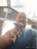 Старая недоебанная сука ищет кобеля для случки.  Высылайте фото своих членов мне на Viber,  Whats app,  Telegramm .  В приоритете по симпатии.  Жду звонков круглосуточно )))) ...