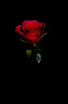 Мужчина 30 лет.  Русский,  голубоглазый,  волосы русые,  стрижка короткая,  рост 190.  Высшее образование.  Позитивный и оптимистичный человек,  очень люблю юмор.  Надежный:  люди доверяют мне свои та ...