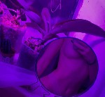 Привет.  Познакомлюсь с мужчиной для сладострастных
развлечений.  Красивая,  сексуальная,  раскрепощенная.  
Интересуют только опытные и адекватные. ...