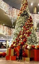 Разное объявление но. 3387901: Большие ёлки от цеха ,  произвотеля 5,  10 ,  15 ,  20 ,  25 метровые