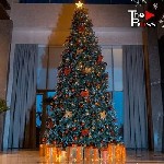 Разное объявление но. 3388334: 5 метровая ёлка,  с ягодами и шишками.  Арча 5 метр,  доставка и установка