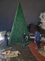 Разное объявление но. 3345284: Новогодняя ёлка.  5 метров.  Под грилянды