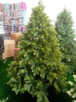 "Ёлка Хакки 3

С механизмом откидывания ,  легко сборке.  

полностью гелиевая.  

120 см - 885 тысяч
150 см - 1.190 тысяч
180 см - 1.820 тысяч
210 см - 2.270 тысяч
240 см - 3.340 тысяч
300 ...