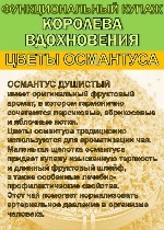 Аптека, лекарства объявление но. 4012522: Целебные экзотические чаи и купажи