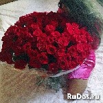 только русского мужчину приглашаю я к себе светлановский пр. ...