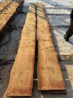 Строительные материалы объявление но. 3560411: Лиственница необрезная,  сухая 50мм распродажа.