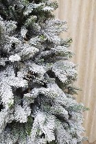 Разное объявление но. 3381502: Ёлка северная 1 (new2023),  доставка по всему Узбекистану