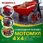 Предлагаем купить Мотомул - надёжную технику для перевозки грузов в любых условиях.  

Мотомул используется:  
- на строительной площадке;  
- в сельском хозяйстве;  
- в работах по ландшафтному  ...