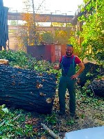 Строительные услуги объявление но. 3520876: Спил и обрезка деревьев ЛНР 2025
