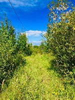 Аренда объявление но. 3453593: Сдаем в аренду земельный участок 6 гектар под трассу для квадроциклов,  и мотоциклов.