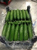 Лимоны, мандарины, перец, капуста, огурцы и другие овощи, фрукты только высокого качества. Товар фасуем, раскладываем по согласованию, используем деревянную, картонную, пластиковую тару. С грузом всег ...