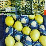 Продукты питания объявление но. 1012972: Оптом помидоры, перец, гранат, мандарины