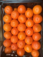 Продукты питания объявление но. 1012972: Оптом помидоры, перец, гранат, мандарины