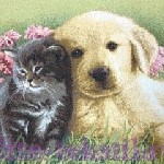 Разное объявление но. 1015290: Гобеленовые наволочки