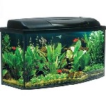 Аквариумный интернет-магазин VentusAqua предлагает большой выбор аквариумов, фильтров, аквариумных рыб и растений, светильники и нагреватели, замороженный корм. Заходите в наш магазин, выбирайте и пок ...