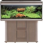 Услуги объявление но. 1015451: Продажа аквариумов, аквариумных рыбок и растений