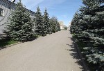 Офисы, склады, производство любое (кроме вредной) - общей площадью 3048 кв.м. Из них: цеховые площади – 1810 кв.м., офисные – 520 кв.м., складские – 720 кв.м. (два утепленных ангара по 360 кв.м.). 
Ц ...