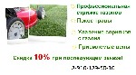 Такси, пассажирские перевозки объявление но. 1034068: грузоперевозки+грузчики