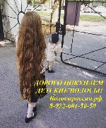 Салоны красоты объявление но. 1046222: Дорого покупаем волосы в Волгограде!
